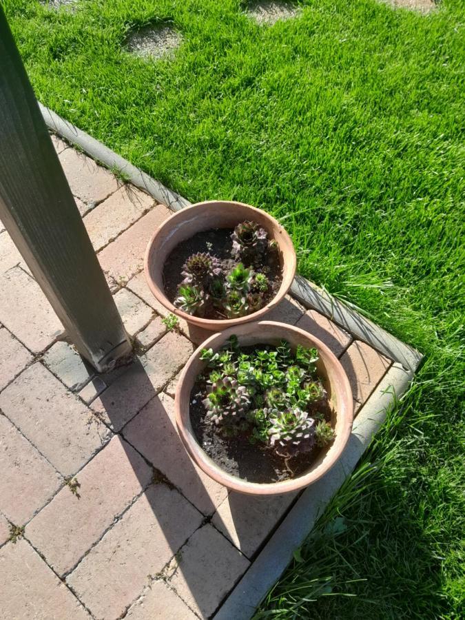 Lila Fuge Apartman Apartment Balatonfured Bagian luar foto